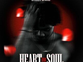 Will Flash - Heart and Soul