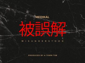 Medikal - MISUNDERSTOOD