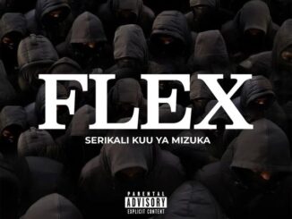 Serikali Kuu ya Mizuka - Flex