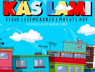 Dr. Peppa – Kas lami Ft EeQue, Leemckrazy & Matute Boy