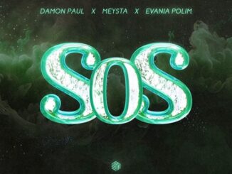 Damon Paul - SOS