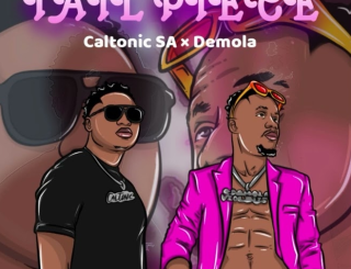 Caltonic SA - Tail Piece ft Demola