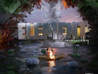 Zinoleesky – Element