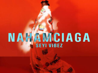 Seyi Vibez - Cana MP4 Download