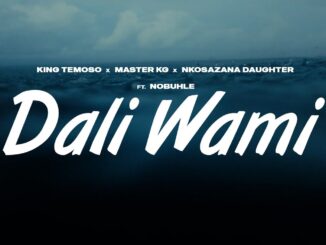 King Temoso x Master KG & Nkosazana Daughter - Dali Wami (feat. Nobuhle) (Official Audio)