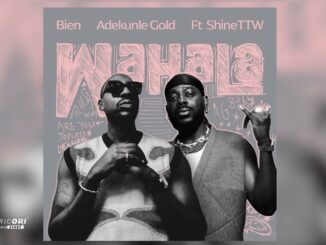 Bien, Adekunle Gold and ShineTTW - Wahala (Official Audio)