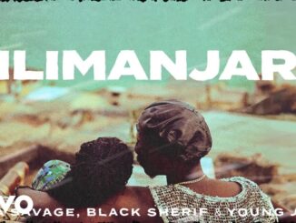 Tiwa Savage, Black Sherif, Young Jonn - Kilimanjaro (Official Lyric Video)