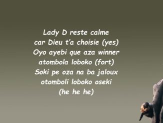 Fally Ipupa - Lady D (Paroles)