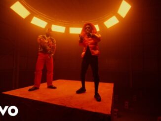 Wizkid - Ginger (Official Video) ft. Burna Boy