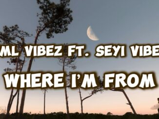 TML Vibez ft. Seyi Vibez - Where I’m From (Lyrics Video)