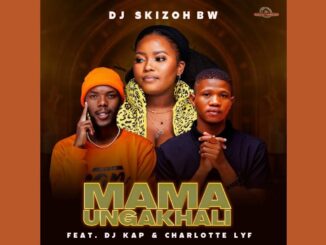 DJ Skizoh - Mama Ungakhali (Official Audio) feat. DJ Kap & CHARLOTTE LYF