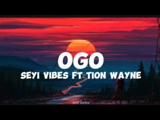 Seyi Vibes ft Tion Wayne-Ogo (lyrics)