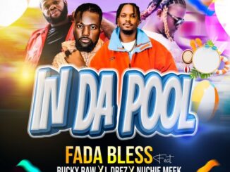 Fada Bless - In Da Pool