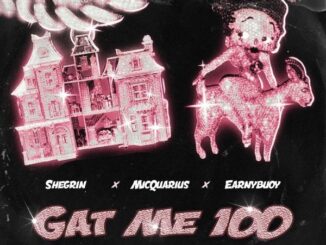 Shegrin ImisiOluwa - Gat me 100