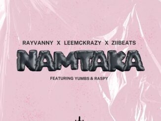 Rayvanny|LeeMcKrazy| ZiiBeats - Namtaka