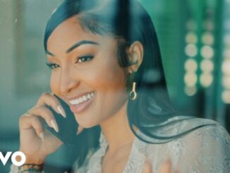 Shenseea - Hit & Run